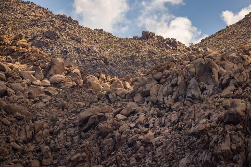 Panoramic Heaven - Luxury Designer Property W Spa Joshua Tree Kültér fotó