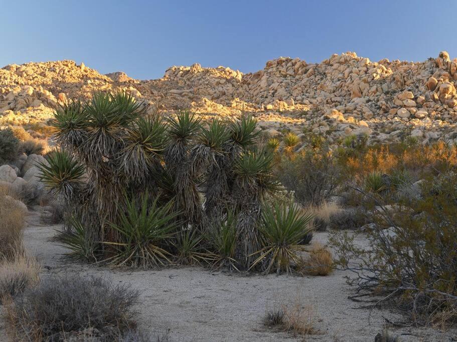 Panoramic Heaven - Luxury Designer Property W Spa Joshua Tree Kültér fotó